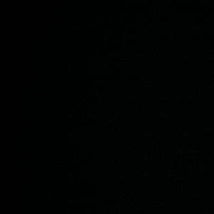 Meet your Posher, Israel